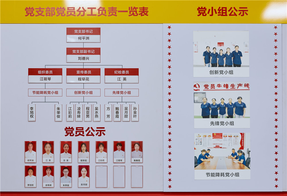 党建引领促发展