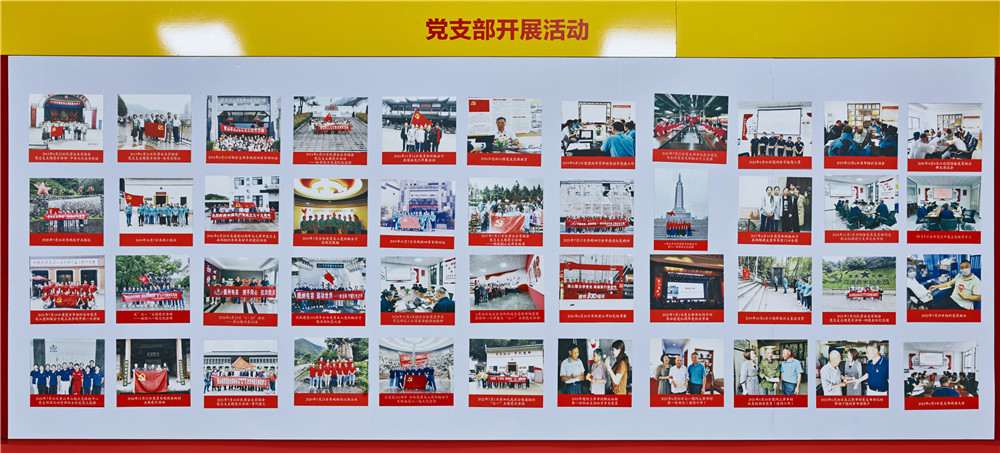 党支部开展活动
