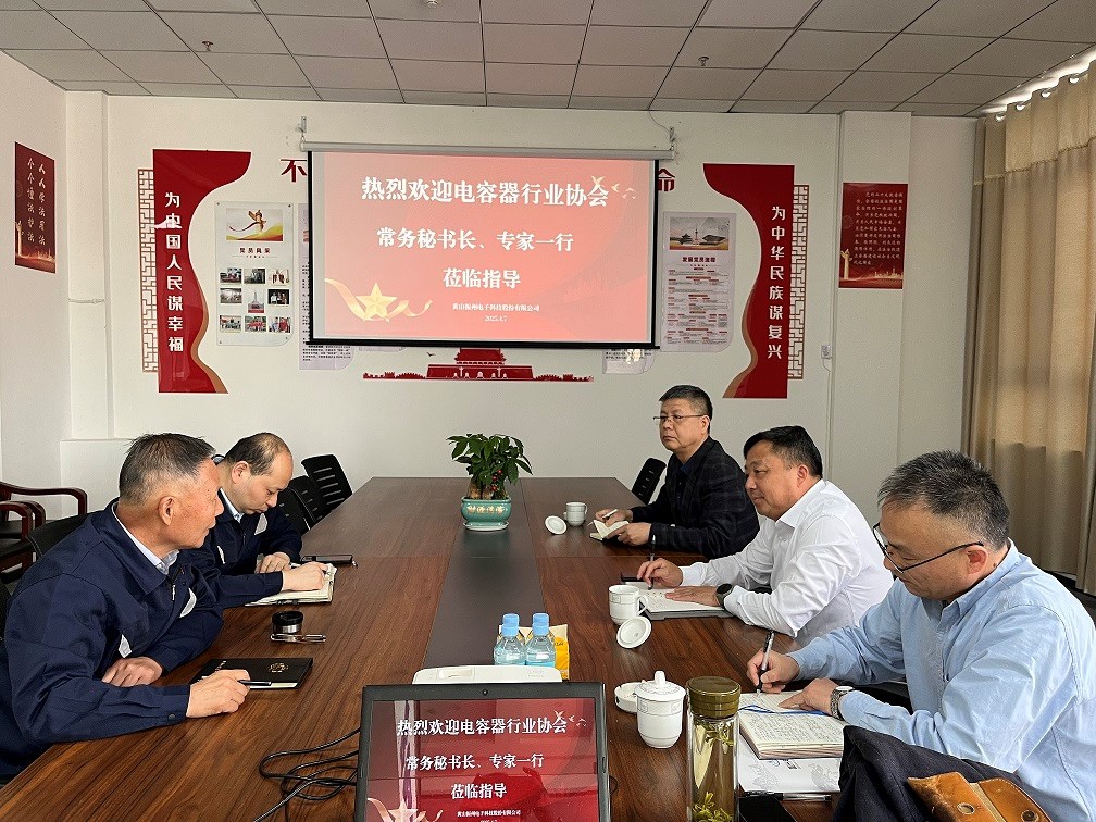 中国电子元件行业协会电容器分会副秘书长凌建民一行深入黄山振州考察调研